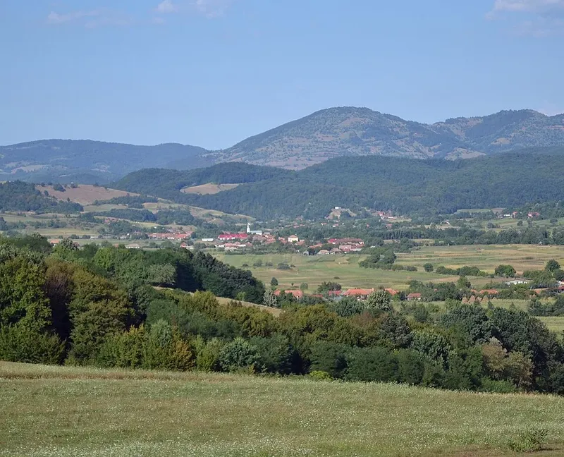 Cabesti