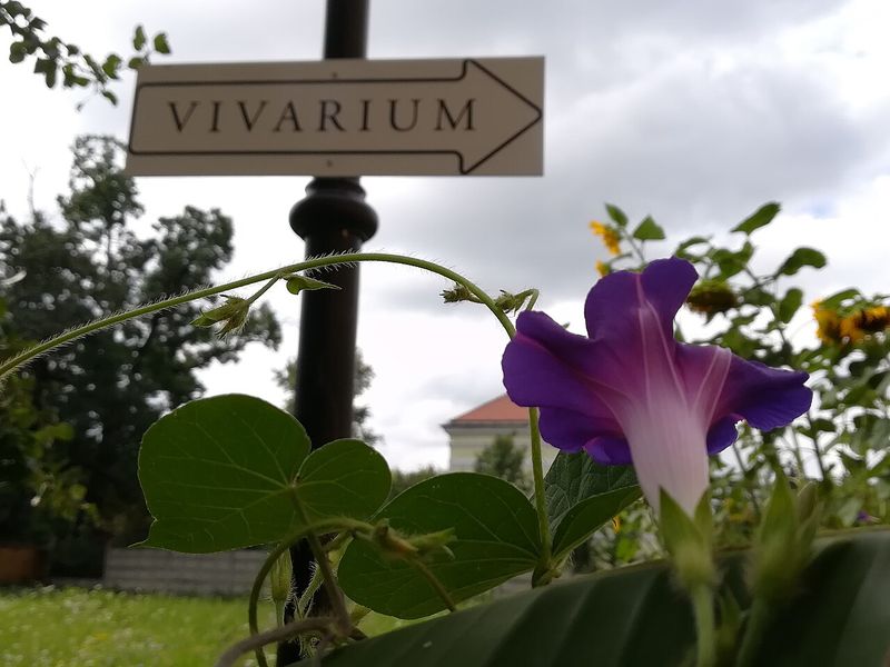 Vivariul Muzeului Țării Crișurilor din Oradea