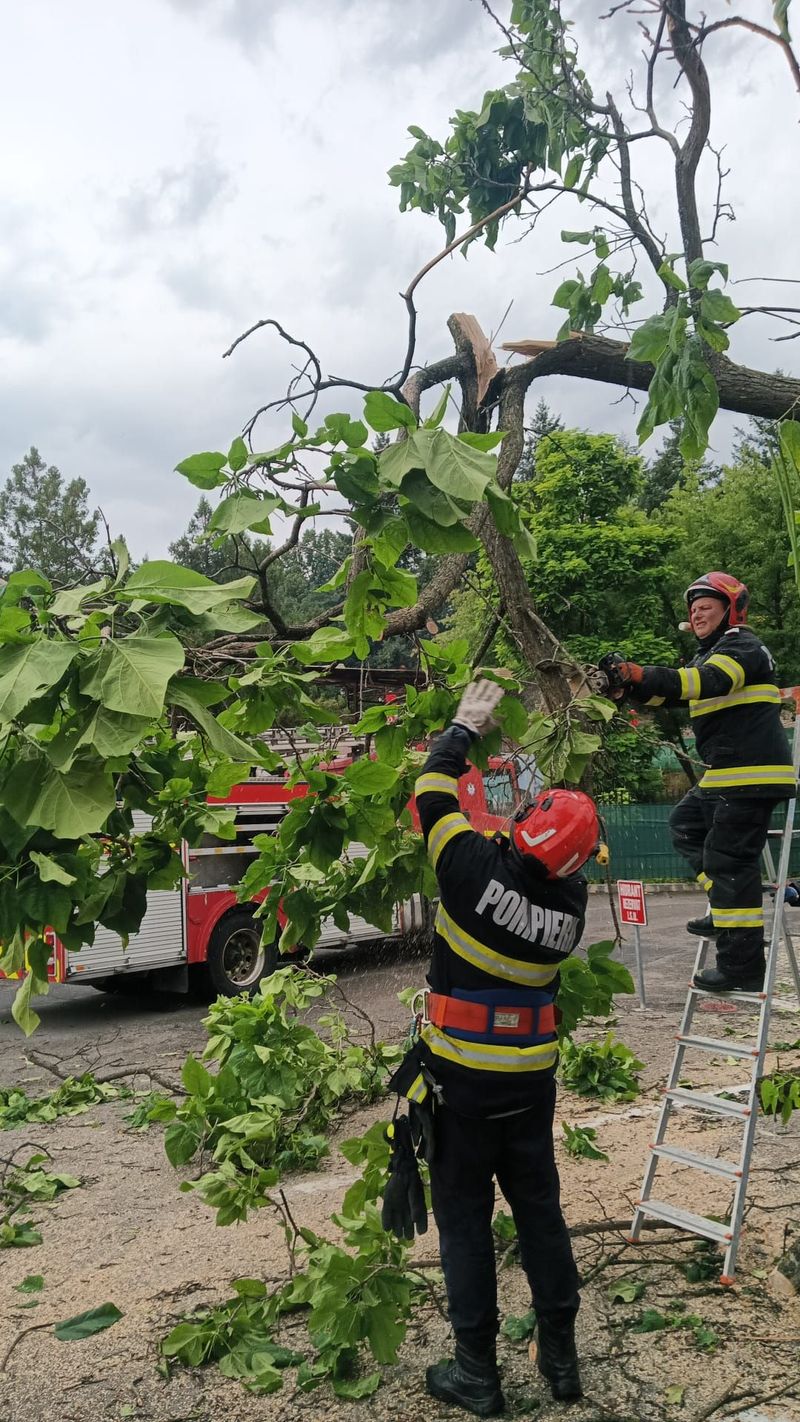 Cod galben în Bihor: vijelii, grindină și măsurile ISU