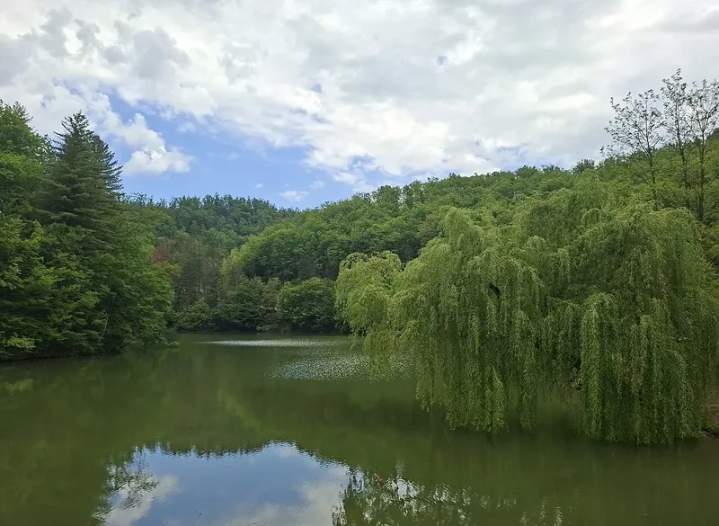 Lacul Vida