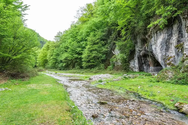 muntii padurea craiului 1