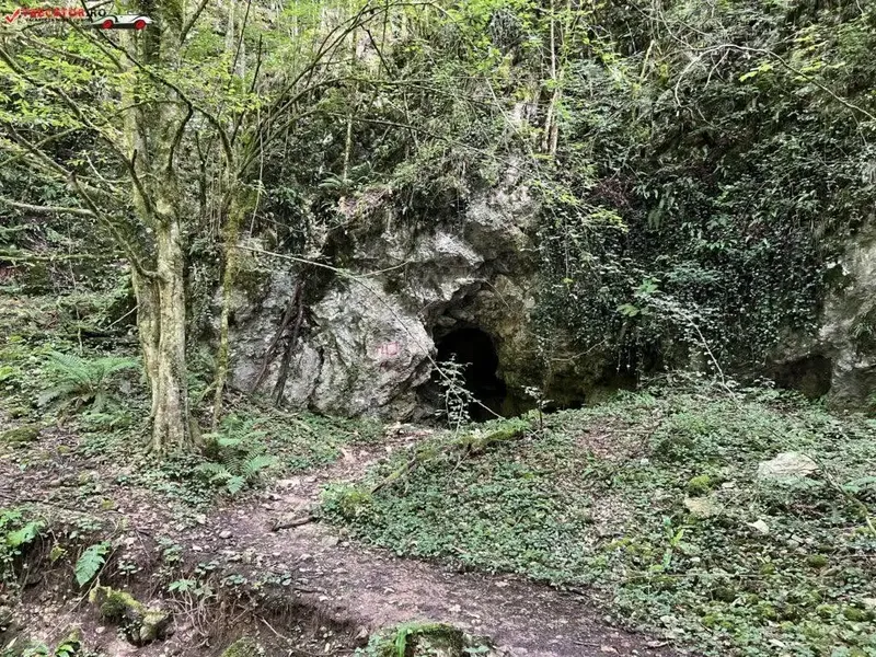 muntii padurea craiului 4