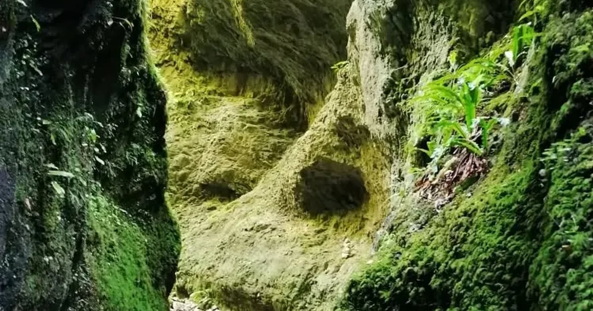 muntii padurea craiului 5